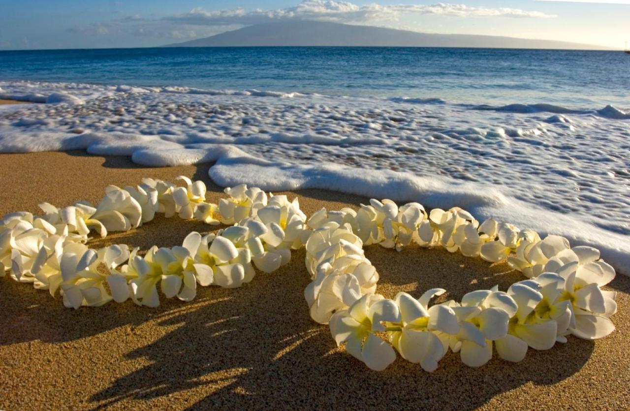 Cozy & Diamond Head View At Waikiki With Parking Appartement Honolulu Buitenkant foto